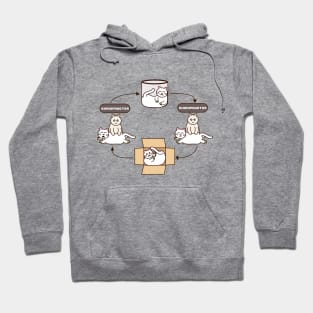 Chiropractic Cat Hoodie